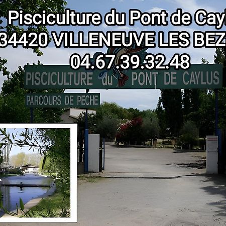 Tiny House 3 Personnes Soeursgrises Beziers Centre Historique Coeur De L'Herault Capitale D'Occitanie Zewnętrze zdjęcie
