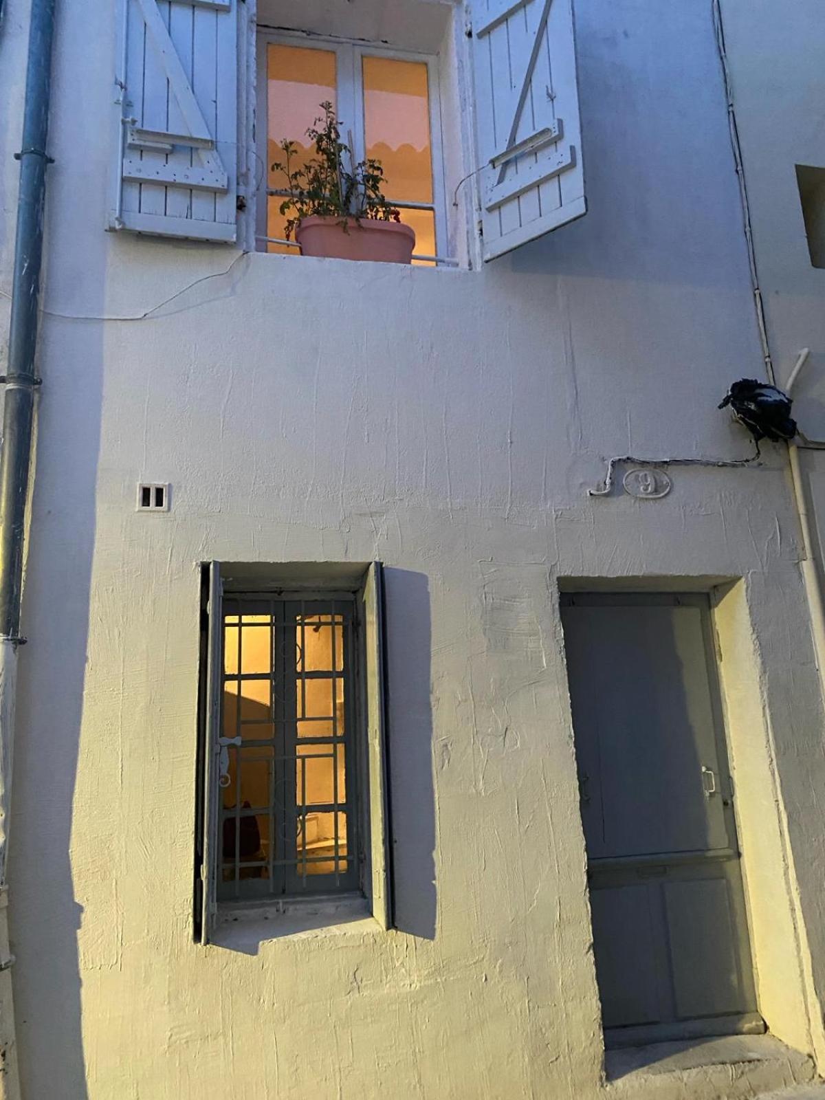 Tiny House 3 Personnes Soeursgrises Beziers Centre Historique Coeur De L'Herault Capitale D'Occitanie Zewnętrze zdjęcie