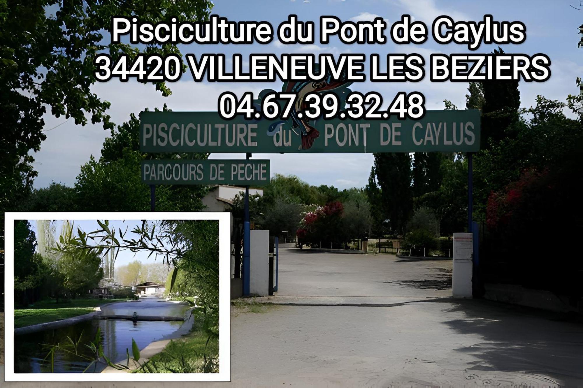 Tiny House 3 Personnes Soeursgrises Beziers Centre Historique Coeur De L'Herault Capitale D'Occitanie Zewnętrze zdjęcie
